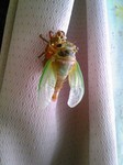 090718_180108.jpg