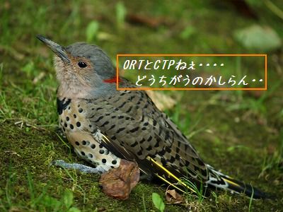 ORTとCTP